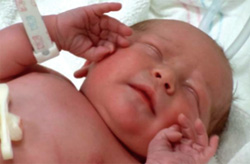 Newborn baby picture